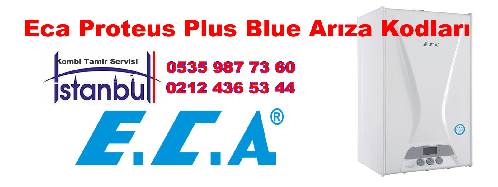 Proteus Plus Blue Kombi Arıza Kodları
