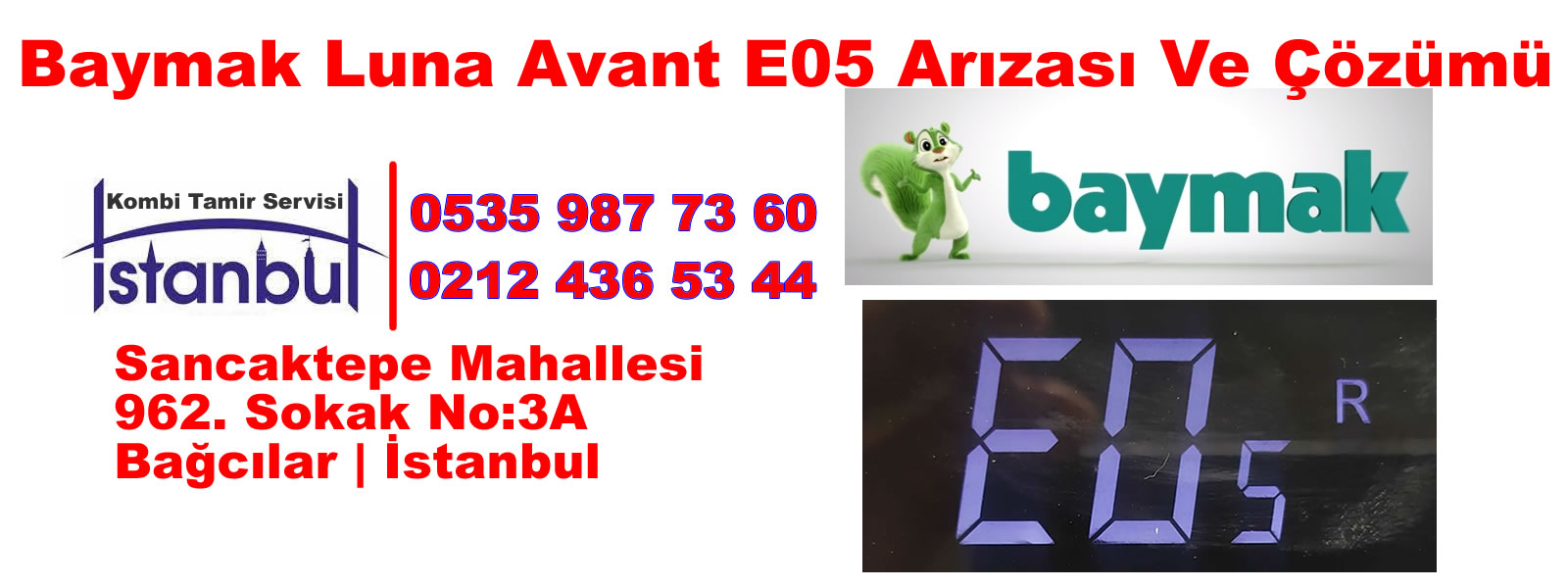 Baymak Lna Avant E03 arızası ve çözümleri
